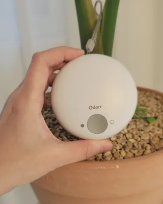 오에르님이 올린 리뷰 사진 2