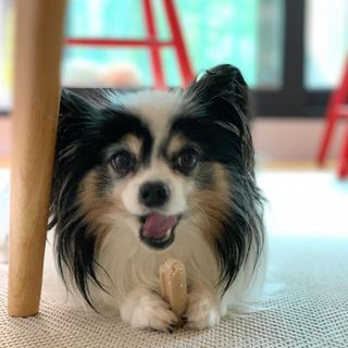 HaejinSeung님이 올린 리뷰 사진 2