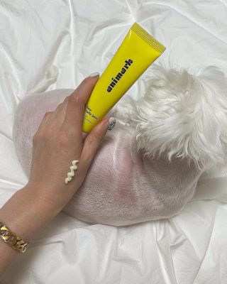 메리님이 올린 리뷰 사진 1