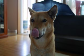 루비님이 올린 리뷰 사진 3
