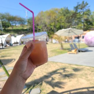 얀ol님이 올린 리뷰 사진 2