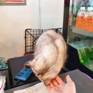 banew님이 올린 리뷰 사진 3