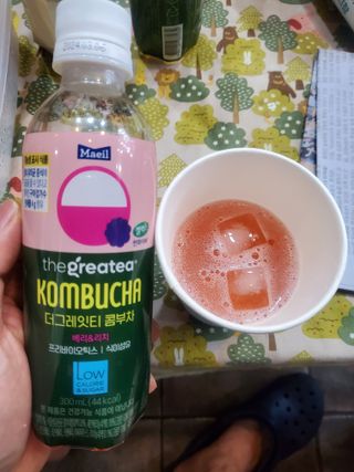 더그레잇티 콤부차 [매일유업] 더그레잇티 44kcal 콤부차 300ml *12개입 (오리지널 6개+베리리치 6개) — 5점을 준 리뷰어가 2023년 7월 올린 사용 사진