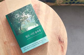 sointotea님이 올린 리뷰 사진 2