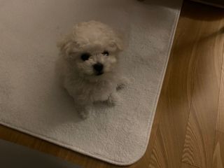 허당당당님이 올린 리뷰 사진 4