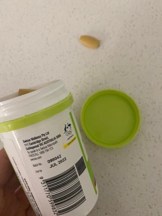 Swisse 스위스 고함량 밀크씨슬 35,000mg 60정 — 5점을 준 리뷰어가 2021년 11월 올린 사용 사진