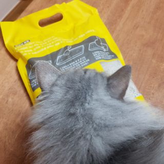겟플렉스 켓플렉스 캣츠룸BS-1 고양이모래 4kg — 4.5점을 준 리뷰어가 2021년 1월 올린 사용 사진