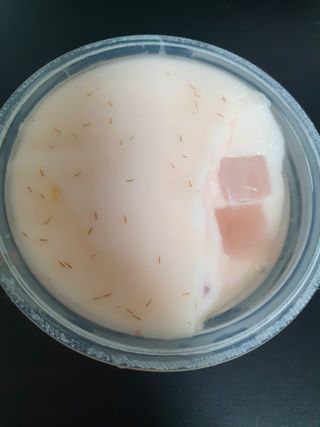 벨라리페라리님이 올린 리뷰 사진 3
