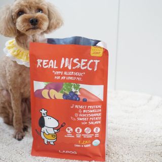[푸디웜] 라포그  리얼인섹트 관절 저알러지 강아지 사료  1.2KG — 5점을 준 리뷰어가 2022년 8월 올린 사용 사진