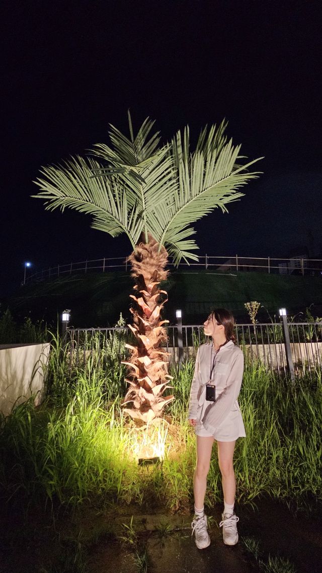 컴포터블 볼륨업 노와이어 브라 세트 리뷰 사진