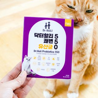 2019yaap님이 올린 리뷰 사진 2