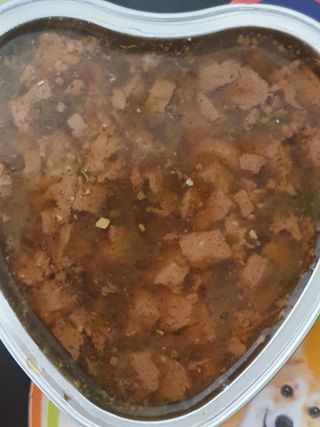 비타크래프트 조에시 하트캔 85g 강아지 습식캔 10캔 — 5점을 준 리뷰어가 2021년 9월 올린 사용 사진