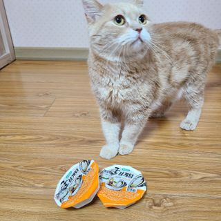 꼼지랑님이 올린 리뷰 사진 1