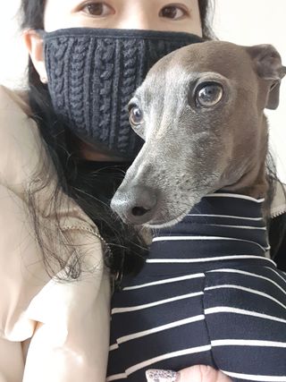 노르딕아일랜드 마스크 미니트위스트 II — 5점을 준 리뷰어가 2021년 11월 올린 사용 사진