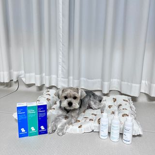 [댕모어 클리너 3종] 아이클리너 / 이어클리너 / 덴탈클리너 3종 세트 (120ml) — 5점을 준 리뷰어가 2023년 8월 올린 사용 사진