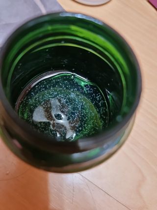 이영실님이 올린 리뷰 사진 2
