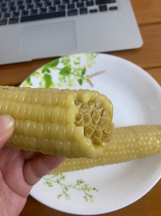 시큼한고냥이님이 올린 리뷰 사진 1