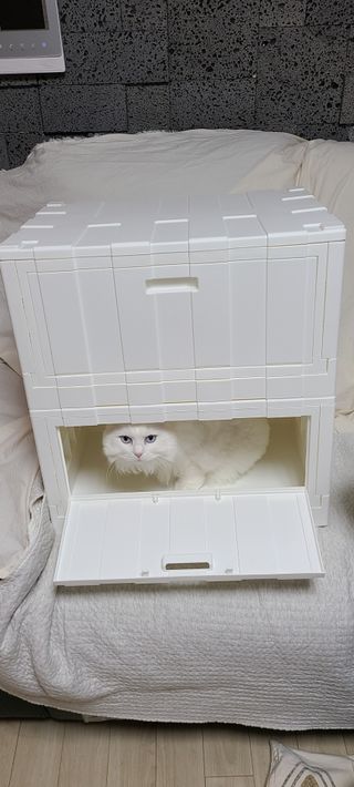 논지님이 올린 리뷰 사진 2