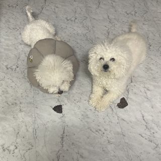 지예지예❤️님이 올린 리뷰 사진 1
