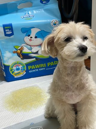 -님이 올린 리뷰 사진 1