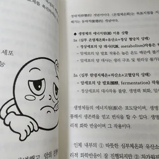 온열체온화요법 온열체온화 요법(Thermotherapy for Anti-Cancer) — 5점을 준 리뷰어가 2022년 9월 올린 사용 사진