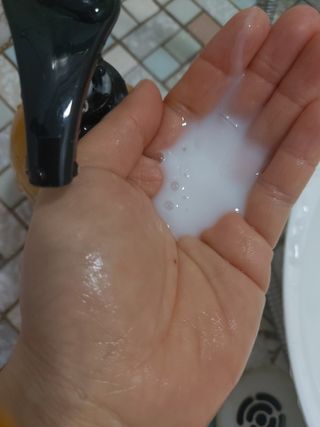 방방곳곳 편림초 마이크로바이옴 샴푸 — 5점을 준 리뷰어가 2022년 4월 올린 사용 사진