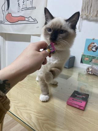 율집사님이 올린 리뷰 사진 2