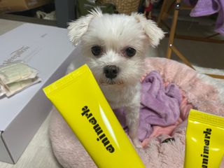 그래그래님이 올린 리뷰 사진 1