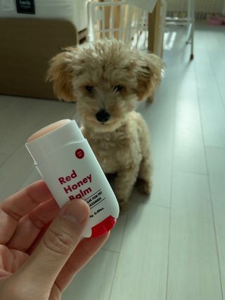 효효님이 올린 리뷰 사진 1