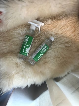 베리베리님이 올린 리뷰 사진 2