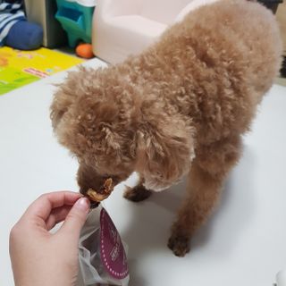 다둥맘님이 올린 리뷰 사진 1