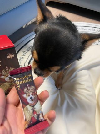 정열매님이 올린 리뷰 사진 2