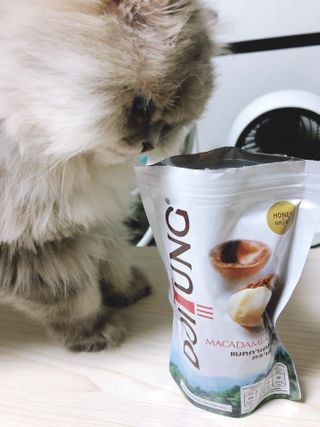 도이퉁 마카다미아 넛츠 90g 마카넛 허니 — 4.5점을 준 리뷰어가 2021년 3월 올린 사용 사진