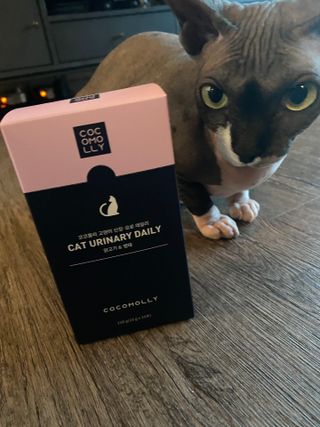 Dobby님이 올린 리뷰 사진 2