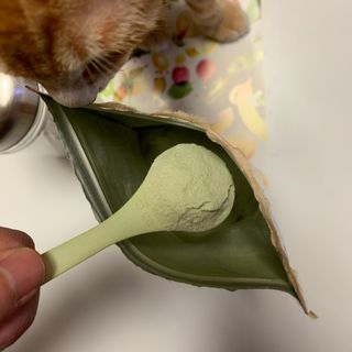 오잉님이 올린 리뷰 사진 3