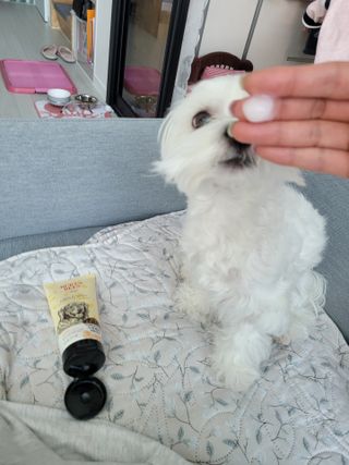 바이에이미님이 올린 리뷰 사진 2