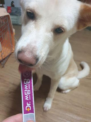 5냥2멍님이 올린 리뷰 사진 4