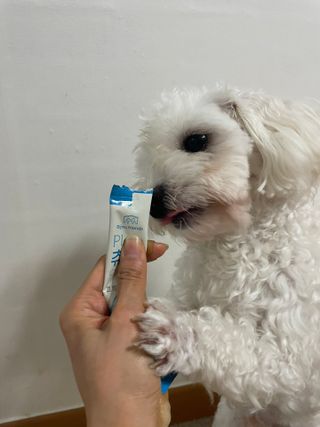냥냥이님이 올린 리뷰 사진 4
