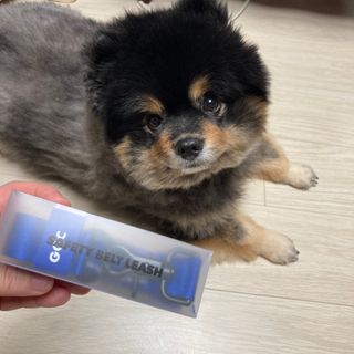 정아님이 올린 리뷰 사진 1