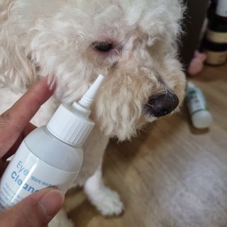 [댕모어 클리너 3종] 아이클리너 / 이어클리너 / 덴탈클리너 3종 세트 (120ml) — 5점을 준 리뷰어가 2023년 8월 올린 사용 사진