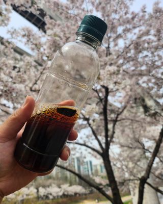 무라벨 바리스타룰스 디카페인 아메리카노 — 5점을 준 리뷰어가 2024년 4월 올린 사용 사진