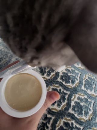 호롤로님이 올린 리뷰 사진 2