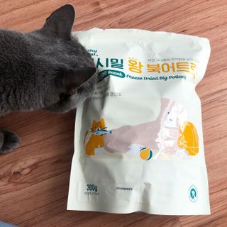 [펫시밀] 원물그대로 영양듬뿍 동결건조 왕북어트릿300g,왕치킨트릿400g,열빙어트릿300g 대용량 간식 — 5점을 준 리뷰어가 2023년 5월 올린 사용 사진