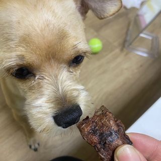 세지니힛님이 올린 리뷰 사진 3