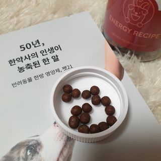 펫21 그로그로 5종 강아지 고양이 반려동물 한방 영양제 — 5점을 준 리뷰어가 2021년 11월 올린 사용 사진