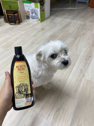 이경주님이 올린 리뷰 사진 3
