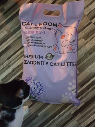겟플렉스 켓플렉스 캣츠룸BS-1 고양이모래 4kg — 5점을 준 리뷰어가 2021년 1월 올린 사용 사진