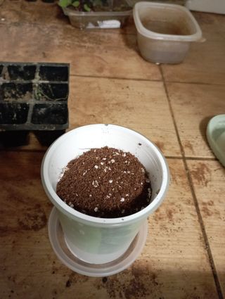 엄마3님이 올린 리뷰 사진 3