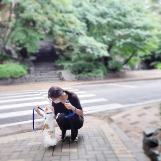 베이컨박스 [BACON] 고아웃클럽 이지그립 리드줄, 목줄 세트-BLUE — 5점을 준 리뷰어가 2021년 7월 올린 사용 사진