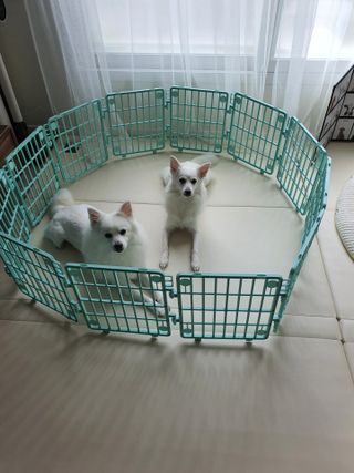 조원동새댁님이 올린 리뷰 사진 1